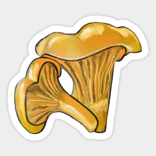 Chanterelles Sticker